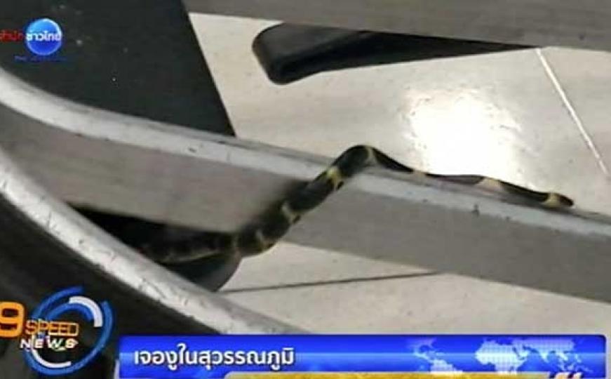 Putnica otkrila zmiju obmotanu oko kolica za prtljag: Aerodrom u Bangkoku uputio izvinjenje