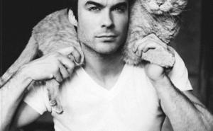 FOTO: Zgodni frajeri s macama