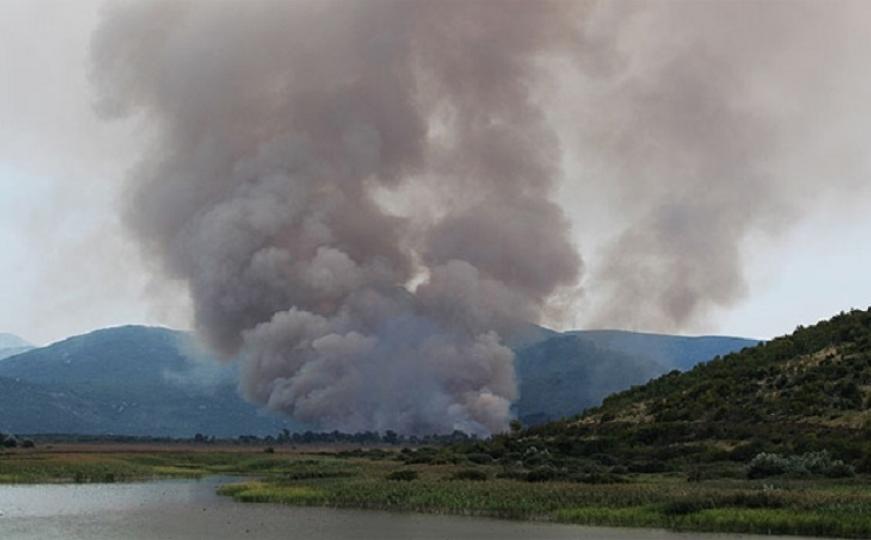 Ponovo gori: Dva požara u Parku prirode Hutovo blato    