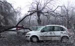 Snažno nevrijeme u Banjoj Luci: Vjetar čupao drveće (VIDEO)