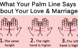 Spojite ruke: Da li vam se prva linija na dlanu spaja ili razdvaja?