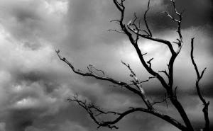 Blue Monday: Danas je najdepresivniji dan u godini