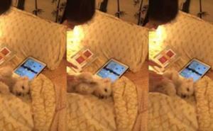 Kad si sretan lupi šapom ti od šapu (VIDEO)