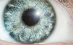 Kviz: Kakva vam je moć zapažanja?