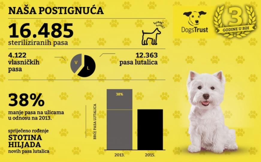 Dogs Trust počinje cjelogodišnju kampanju sterilizacije za vlasničke i pse lutalice