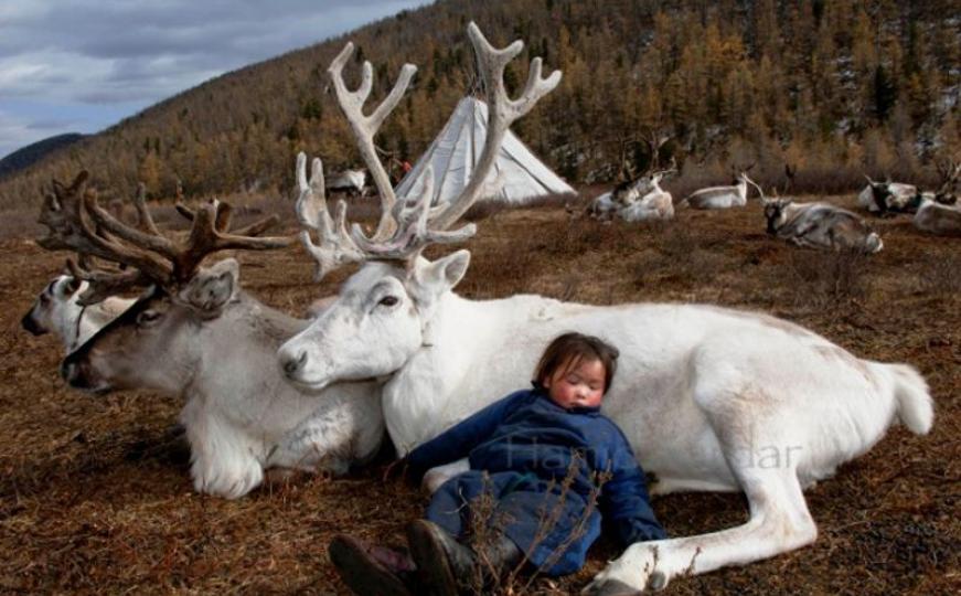 Dukha pleme živi kao u bajci: Jašu na sobovima, love s orlovima i vukovima (FOTO)