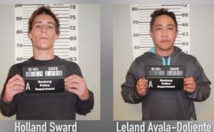 Dileri pušili marihuanu pa zvali policiju: Ovdje idioti koje pratite, možete li nas uhapsiti (VIDEO)