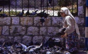 Nermin Tulić: Načelniče, vrati nam naše golubove na Čaršiju!