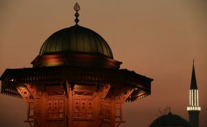 Ne spašavajte me od golubova, nego od kukavica