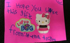 Dobrodošlica i pokloni: Djeca porijeklom iz BiH u Chicagu pomažu izbjeglicama iz Sirije (FOTO)