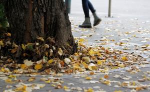 Temperatura danas oko 5 stepeni, pročitajte i bioprognozu