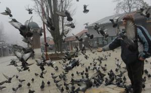 FOTO: Sarajevski golubovi čekaju masovna hapšenja na Baščaršiji