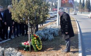 Podgorica: Položeno cvijeće na Bulevaru Srđana Aleksića (FOTO)