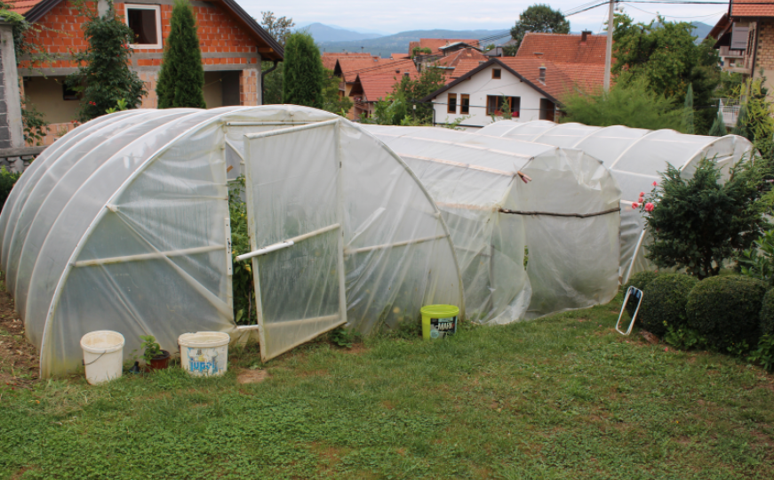 Srebrenica: Ukradeno 4.000 sadnica malina