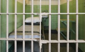 Crnogorski predsjednik Filip Vujanović prošle godine pomilovao 11 osuđenika