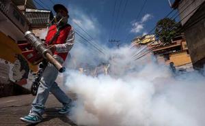 Proizvodnja vakcine protiv virusa zika mogla bi trajati godinama