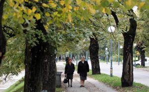 Jutros u Sarajevu 12 stepeni, večeras kiša i snijeg
