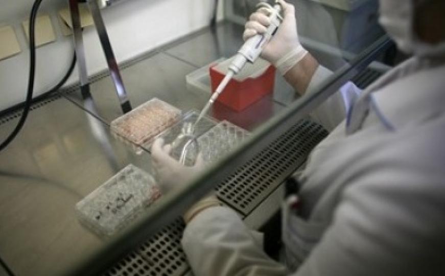 Svinjska gripa: Ne dizati paniku, već se zaštititi 
