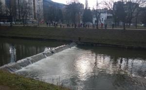 Građani danas spašavali psa iz Miljacke: Akcija uspjela, psić preživio (FOTO)