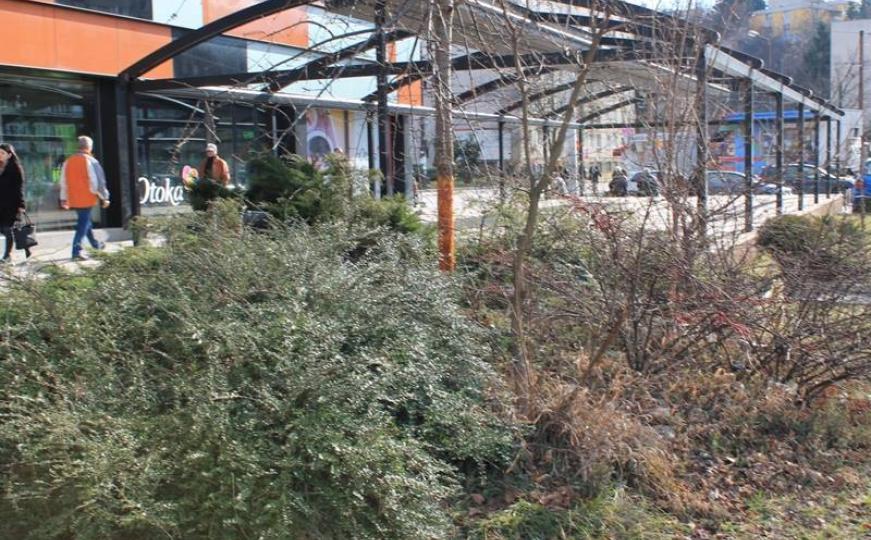 KJKP Park Sarajevo: Novi primjer uništavanja zelenila na Otoci (FOTO)
