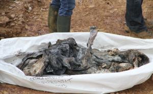 Sa suđenja Mladiću: Simo Drljača tri puta unaprijeđen nakon zločina nad Bošnjacima