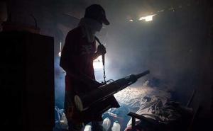 WHO: Virus Zika bi mogao da se proširi i na jug Evrope