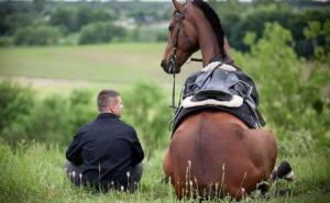 FOTO: Životinje, zbog čega ih toliko volimo...