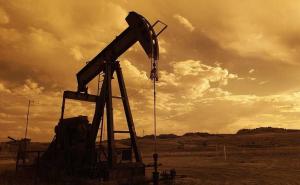 'Nafta će koštati 40 dolara po barelu'