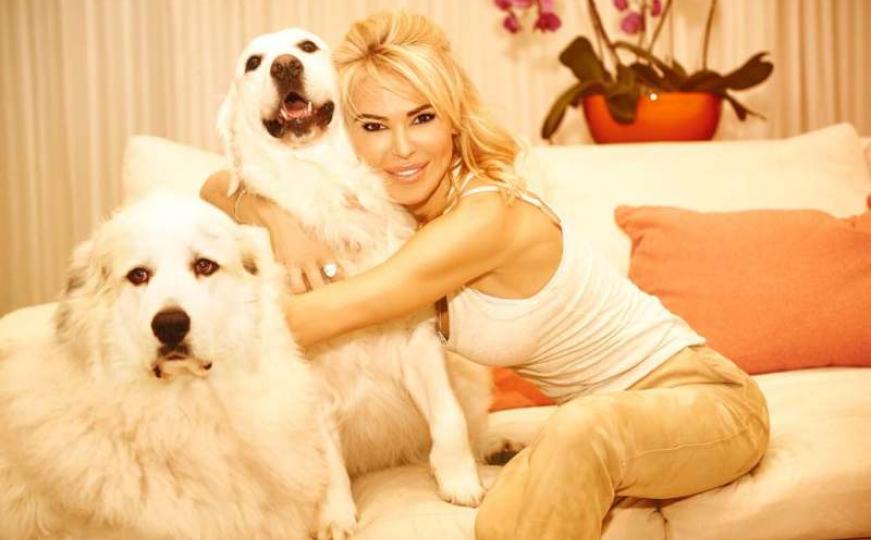 Sanela Jenkins donira četvrtinu miliona za udomljavanje pasa u Sarajevu