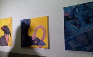 Prva izložba u haustoru otvorena u sarajevskom naselju Buča Potok (FOTO)