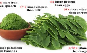 Nova studija: Čudesna biljka koja bi mogla izliječiti četiri tipa raka