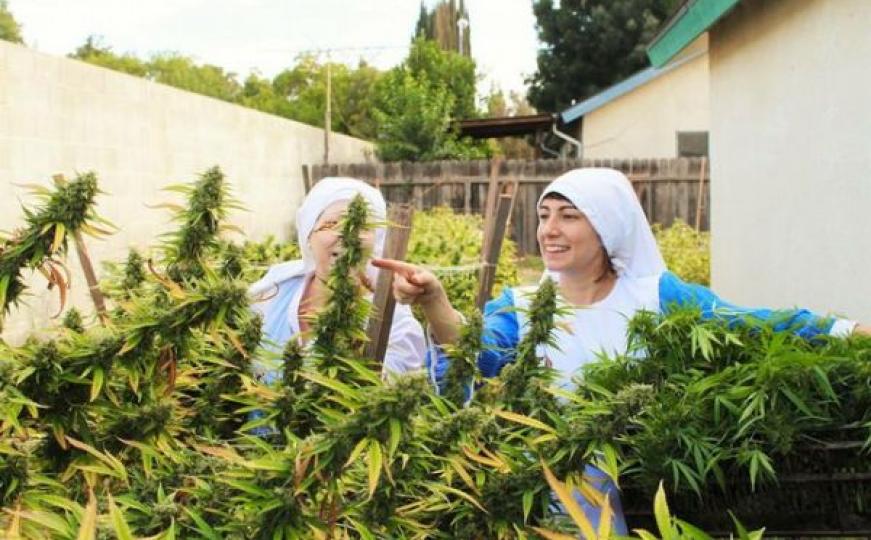 Upoznajte 'časne sestre' koje uzgajaju marihuanu: Ona je istinski Božiji dar (FOTO+VIDEO)
