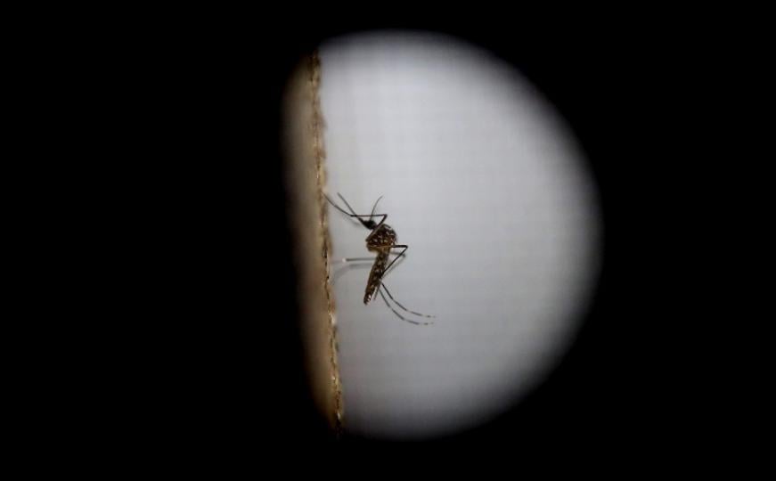 Revolucija u liječenju opasnih bolesti: Naučnici otkrili DNK strukturu virusa zika