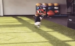 Pogledajte kakav udarac ima sinčić Miralema Pjanića (VIDEO)