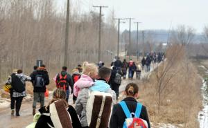 Sanela Dujković: Nema prolazaka migranata kroz BiH 