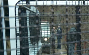 Jedan od ubica Arnele Đogić na Facebooku pozivao ljude da pomognu u potrazi