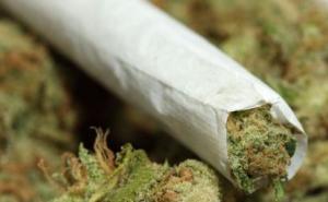 Balkan: Učiteljica uzgajala i učenicima prodavala marihuanu i halucinogene gljive