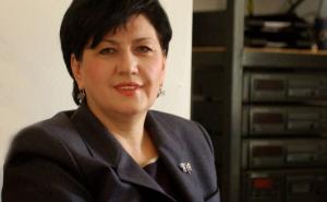 Borovac: Krajnje je vrijeme da država BiH uredi svoje odnose sa bh. dijasporom 