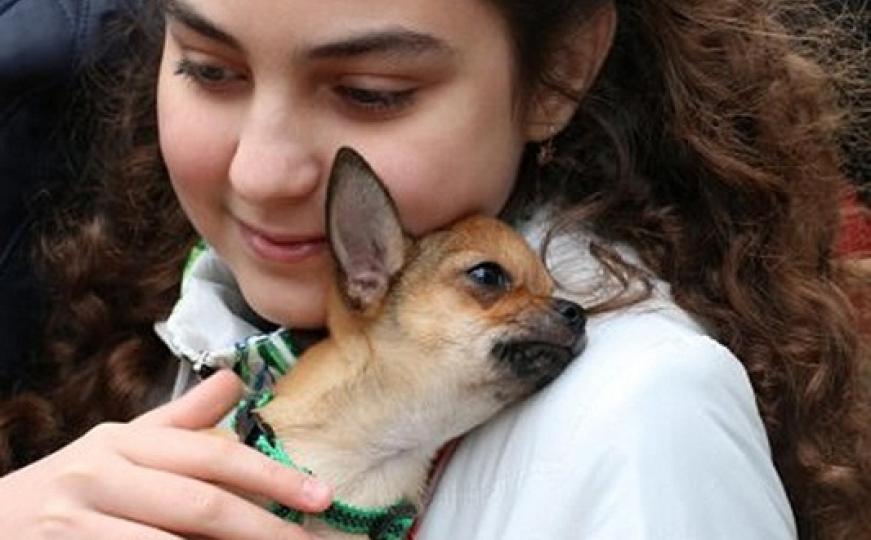 Pogledajte prelijepo štene čivave koje je bolesnoj djevojčici poklonio Vladimir Putin (FOTO)