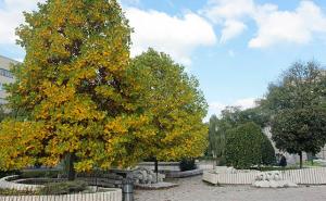 Vrijeme sutra: Ništa novo...