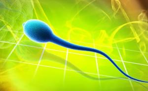 Kineski naučnici stvorili 'spermatozoid iz epruvete' 