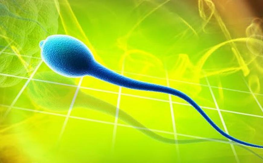 Kineski naučnici stvorili 'spermatozoid iz epruvete' 