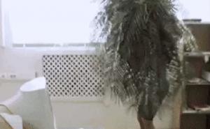 Kako postati nevidljiv za druge ljude (VIDEO)