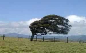 Narandžasto upozorenje zbog vremenskih uslova 