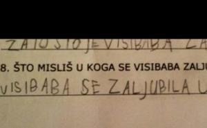 Kad prvačići odgovaraju na pitanja: U koga se zaljubila visibaba?