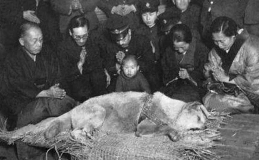 Na današnji dan umro je Hachiko: Pas čija je vjernost ušla u historiju