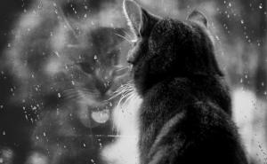 Šta kažu meteorolozi: Kakvo nas vrijeme očekuje danas 