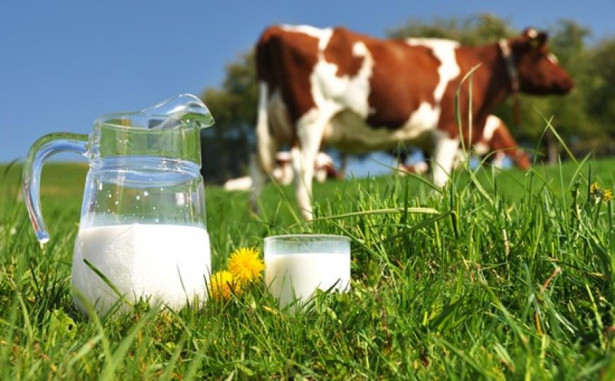 Izvoz mlijeka u EU: Šarović očekuje dobre ocjene iz Dublina