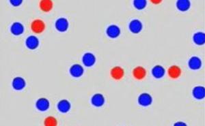 Nova mozgalica: Možete li pronaći skriveno slovo