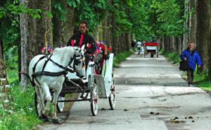 Općina Ilidža uvodi besplatan internet na šest lokacija